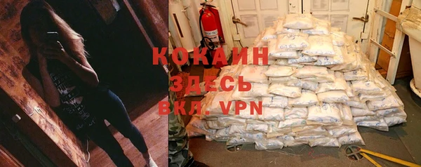 стафф Армянск