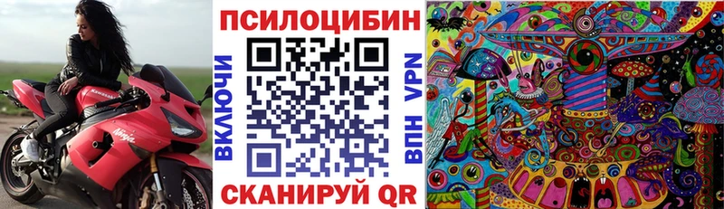 Галлюциногенные грибы Psilocybe Соликамск